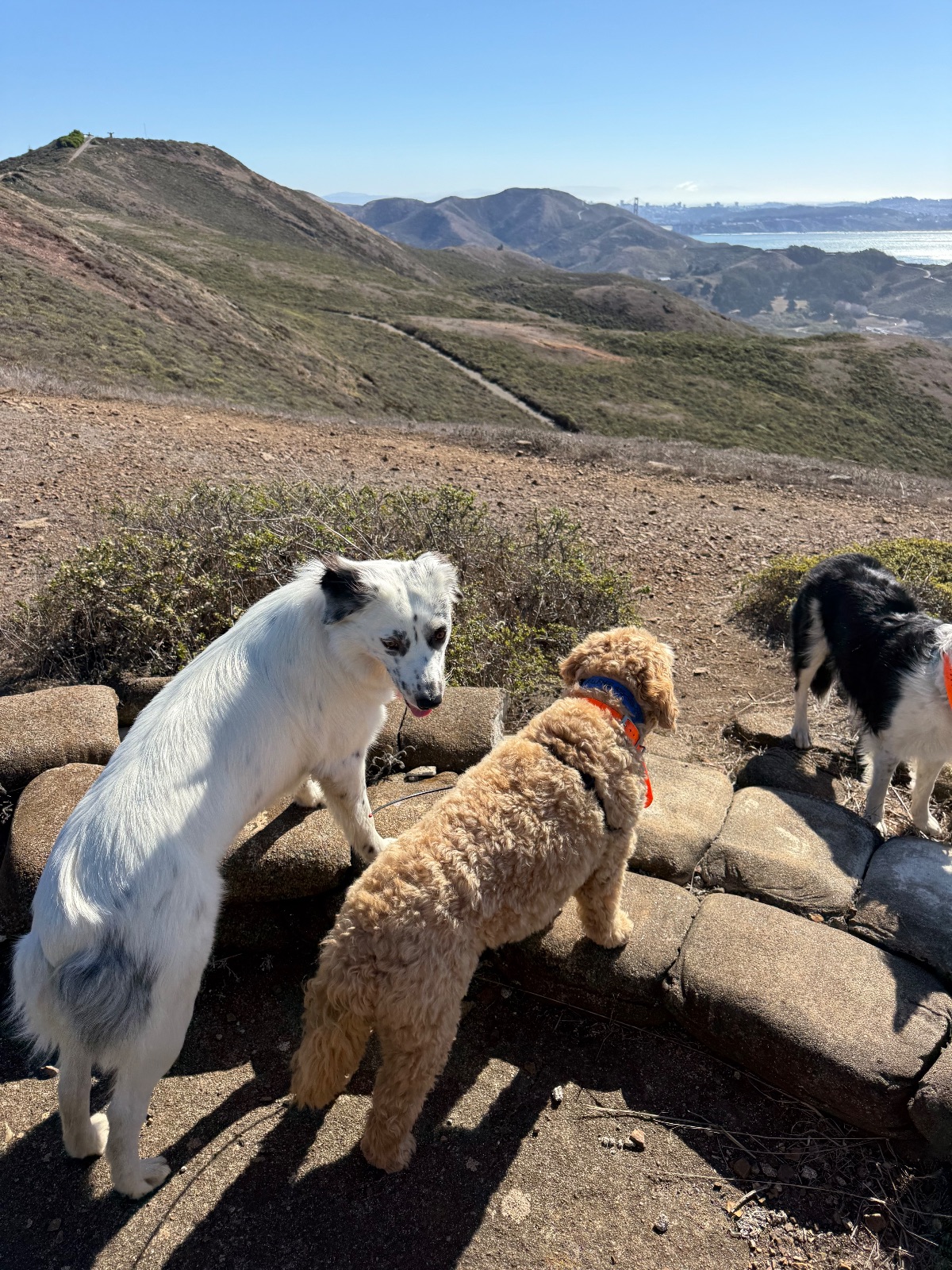 Hike report, Tue, Oct 13 · Coastal Trail · 5 mi · with Elena