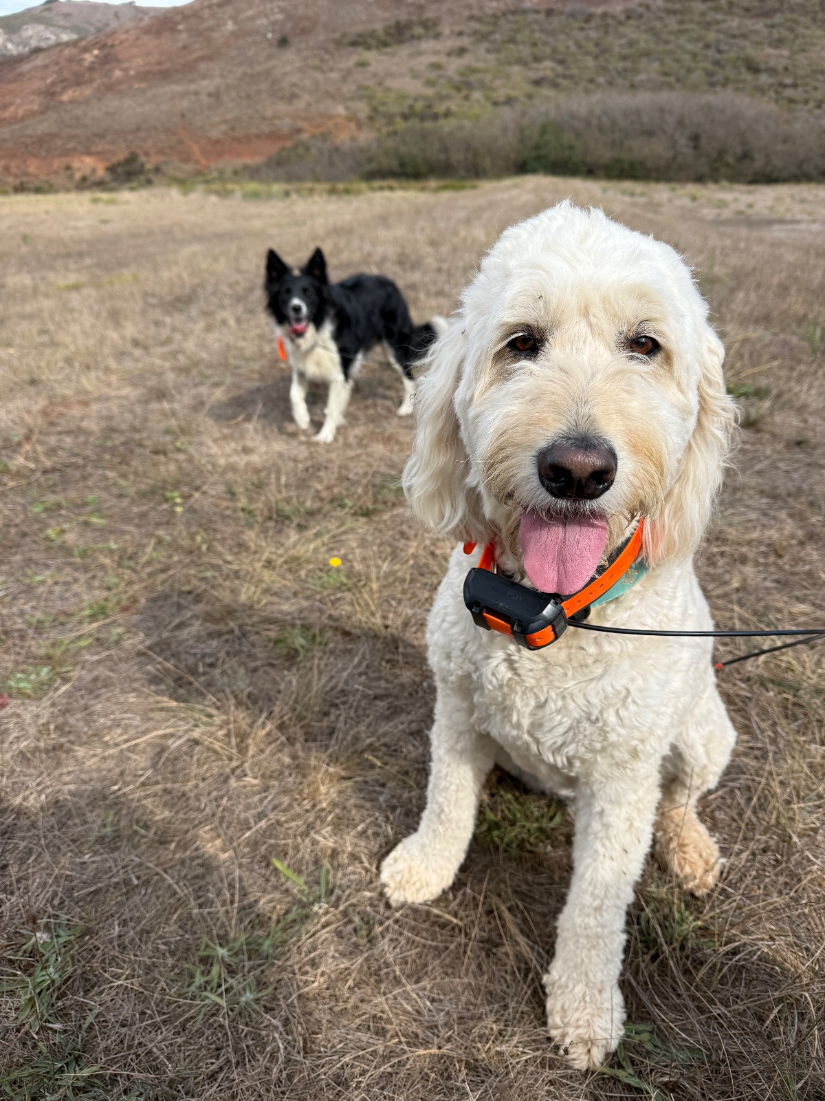 Hike report, Tue, Oct 20 · Coastal Trail · 4 mi · with Andy