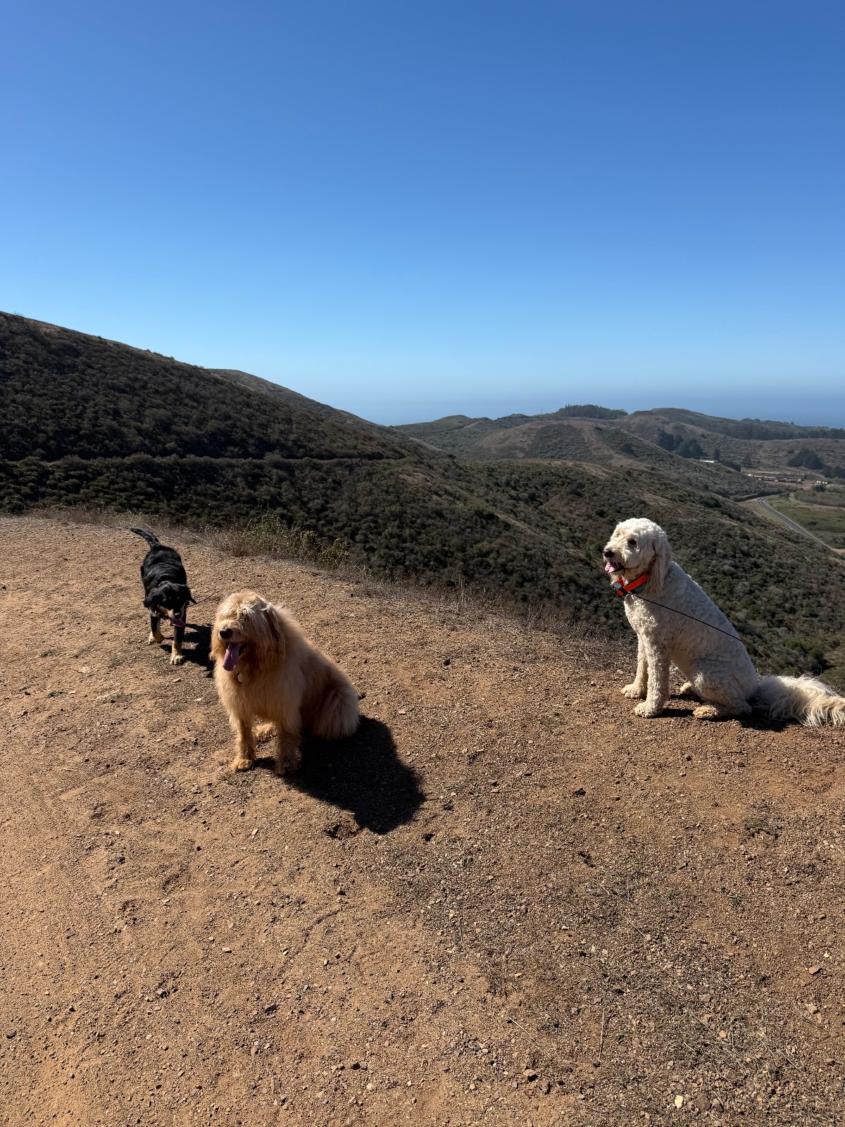 Hike report, Wed, Sep 30 · Coastal Trail · 4 mi · with Andy