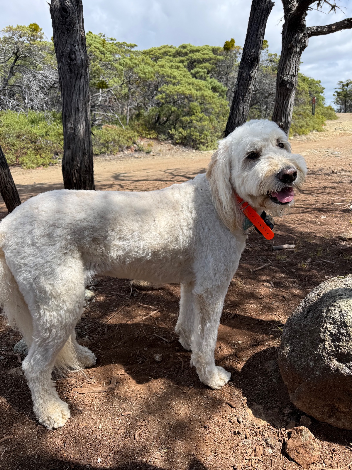 Hike report, Tue, Sep 1 · Gary Giacomini · 4 mi · with Andy