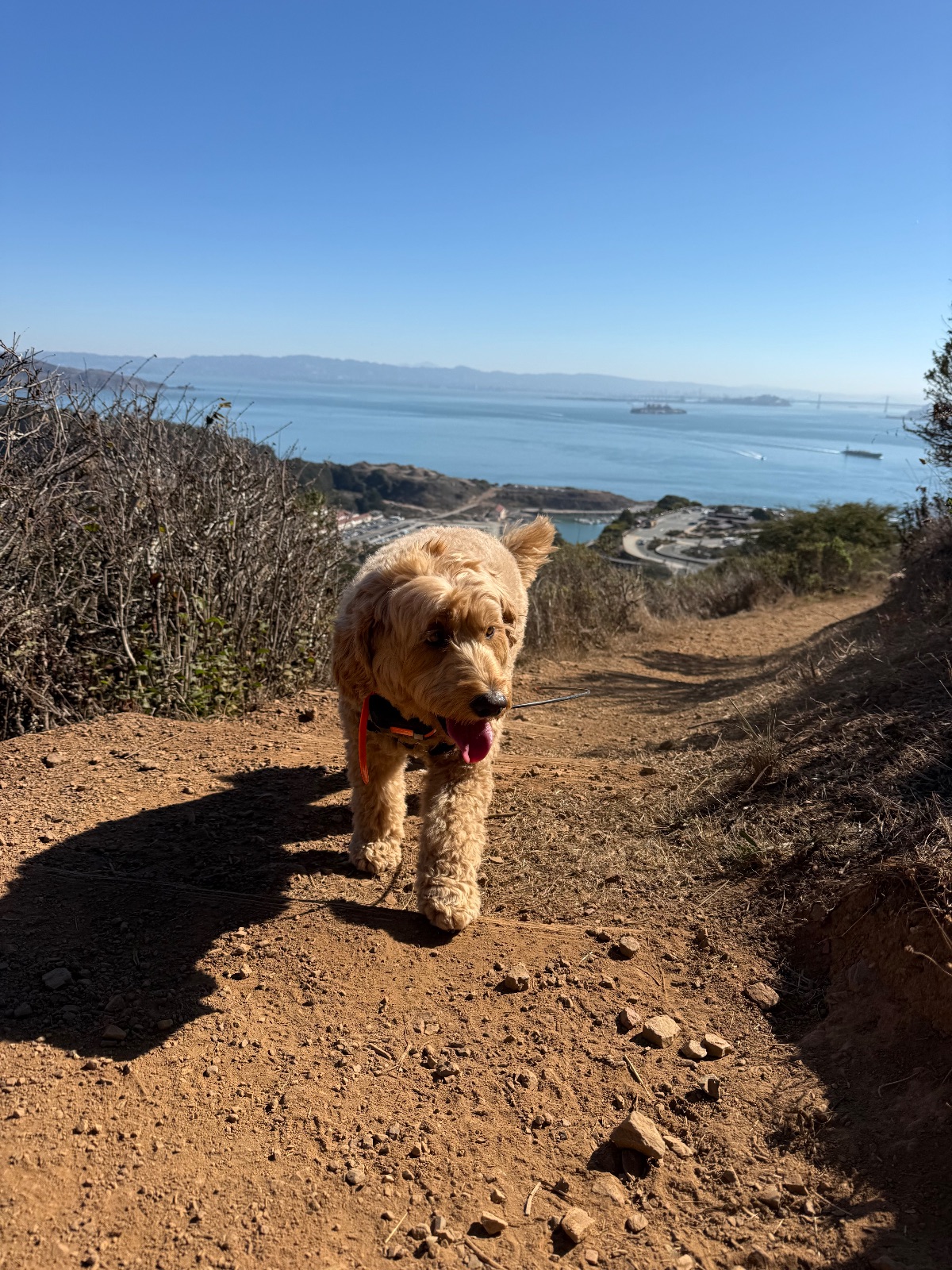 Hike report, Thu, Oct 15 · Julian Trail · 4 mi · with Andy